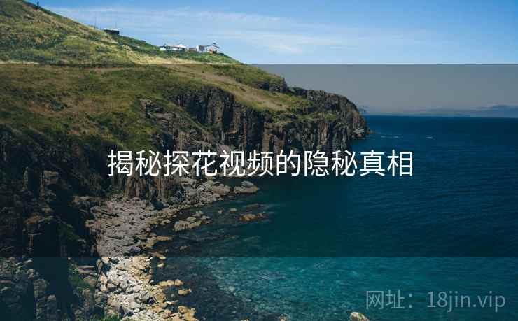 揭秘探花视频的隐秘真相  第2张 揭秘探花视频的隐秘真相  第2张