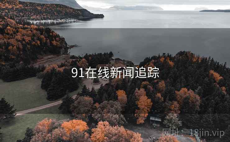 91在线新闻追踪