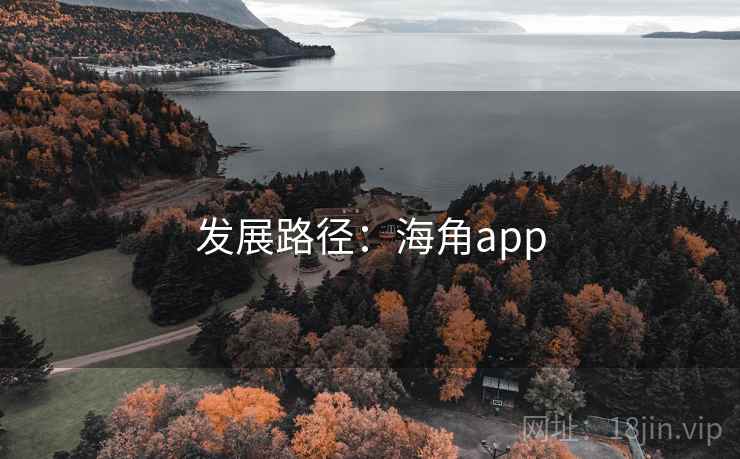 发展路径:海角app