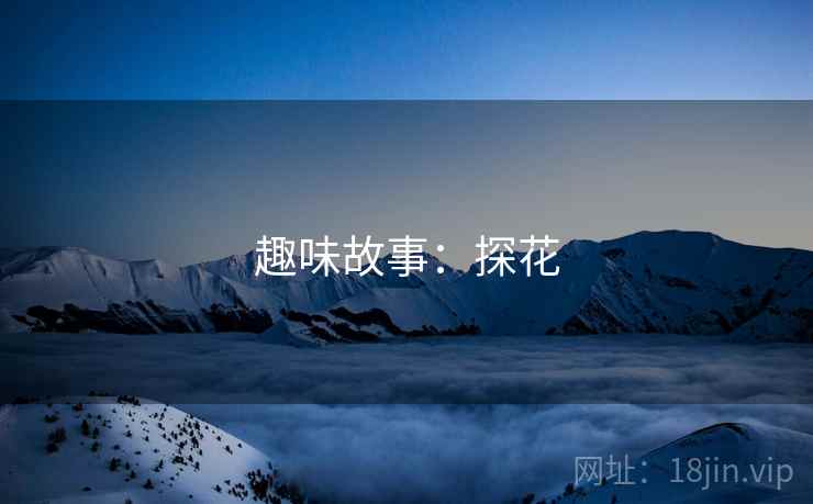趣味故事:探花