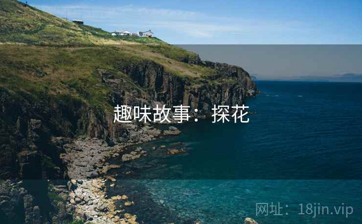 趣味故事:探花