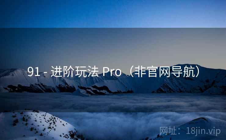 91 - 进阶玩法 Pro（非官网导航）  第2张
