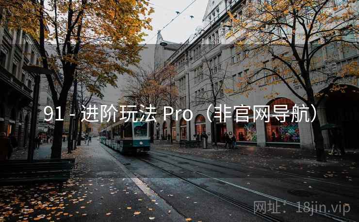 91 - 进阶玩法 Pro（非官网导航）  第1张