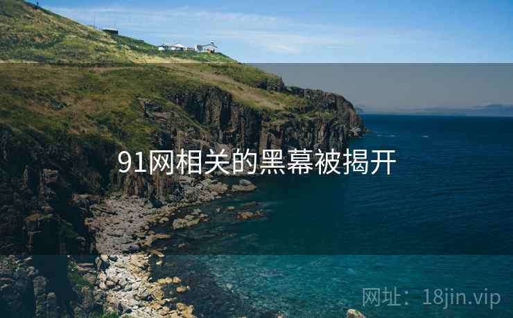91网相关的黑幕被揭开