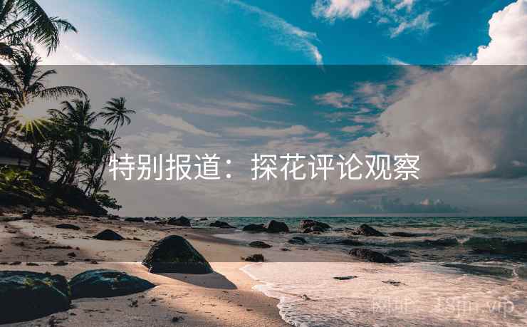 特别报道:探花评论观察