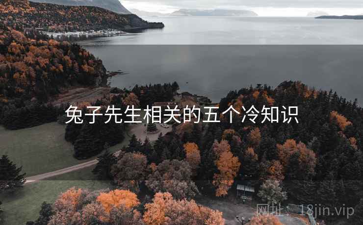 兔子先生相关的五个冷知识