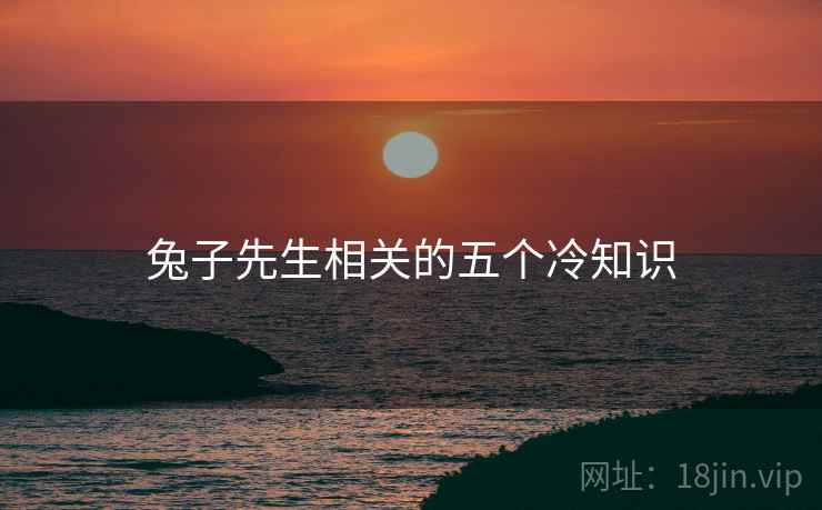 兔子先生相关的五个冷知识