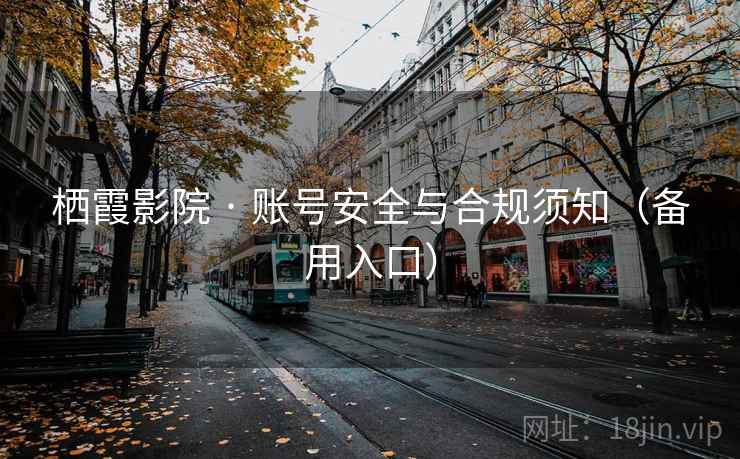 栖霞影院 · 账号安全与合规须知(备用入口)