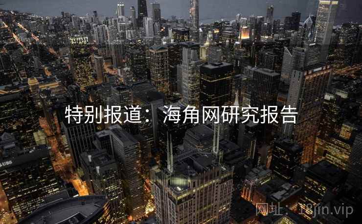 特别报道:海角网研究报告