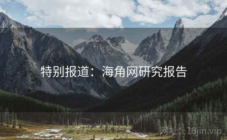 特别报道:海角网研究报告
