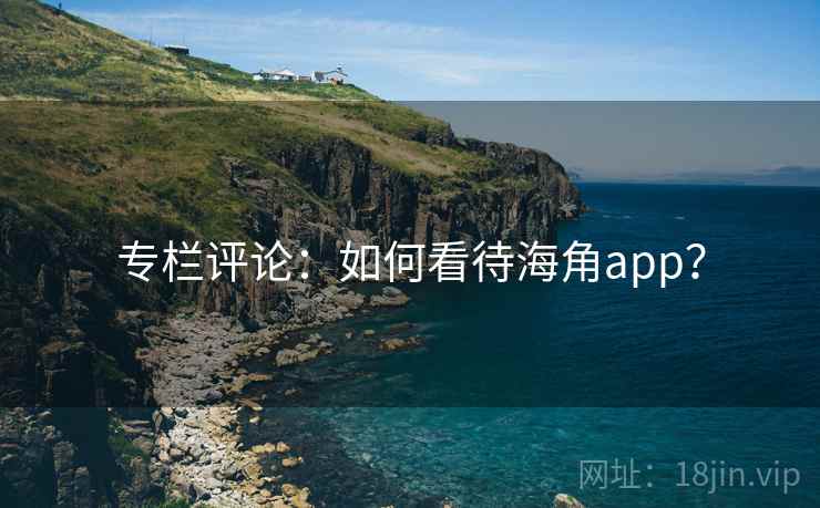 专栏评论:如何看待海角app?