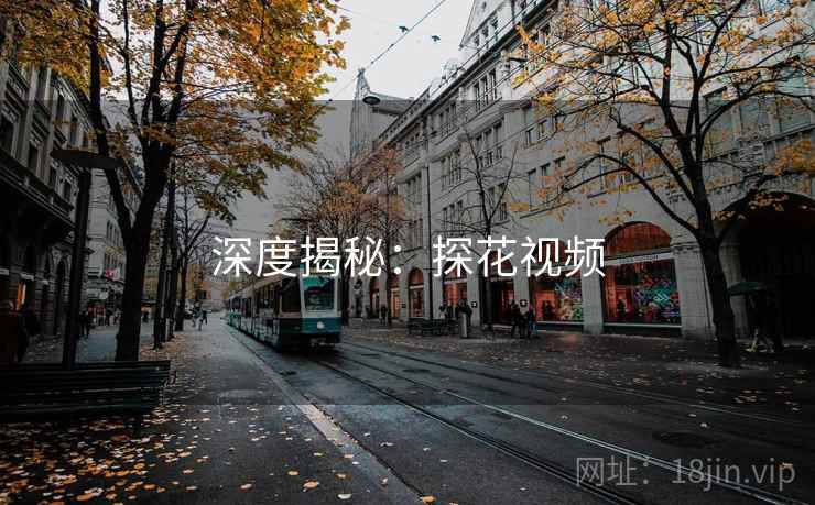 深度揭秘:探花视频